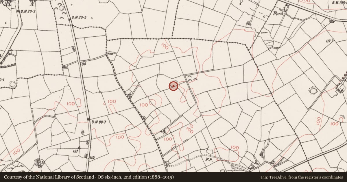 Ordnance Survey six-inch map, 2nd edition (1888–1915) covering the location of Ringfort - rath, Carrownamaddoo (Carbury By., Ballysadare West ED, County Sligo, with a pin at the register's coordinates