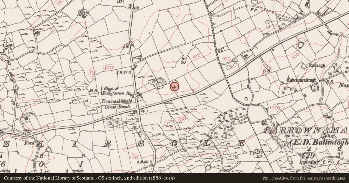 Ordnance Survey six-inch map, 2nd edition (1888–1915) covering the location of Ringfort - rath, Drumaskibbole, County Sligo, with a pin at the register's coordinates