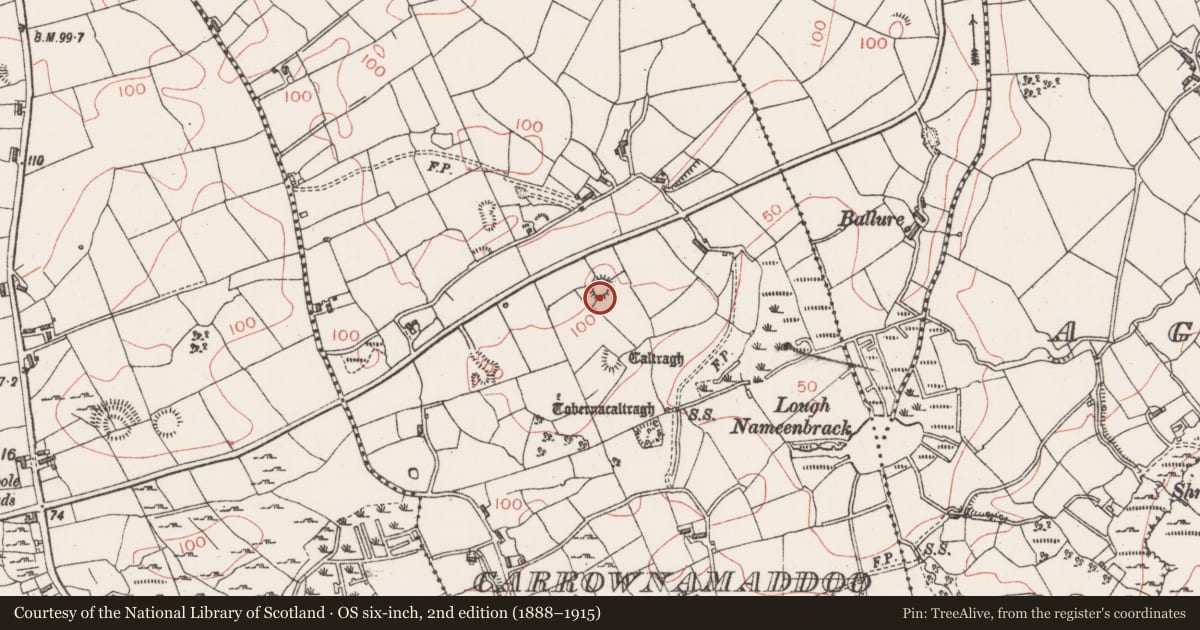 Ordnance Survey six-inch map, 2nd edition (1888–1915) covering the location of Ringfort - rath, Carrownamaddoo (Carbury By., Ballysadare West ED, County Sligo, with a pin at the register's coordinates