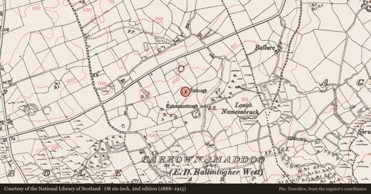 Ordnance Survey six-inch map, 2nd edition (1888–1915) covering the location of Children's burial ground, Carrownamaddoo (Carbury By., Ballysadare West ED, County Sligo, with a pin at the register's coordinates