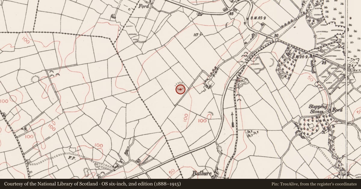 Ordnance Survey six-inch map, 2nd edition (1888–1915) covering the location of Ringfort - rath, Aghamore Near, County Sligo, with a pin at the register's coordinates