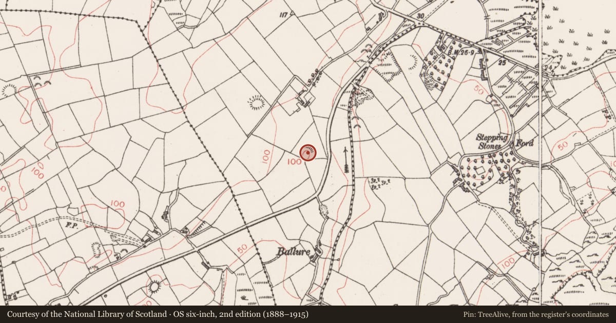 Ordnance Survey six-inch map, 2nd edition (1888–1915) covering the location of Enclosure, Aghamore Near, County Sligo, with a pin at the register's coordinates