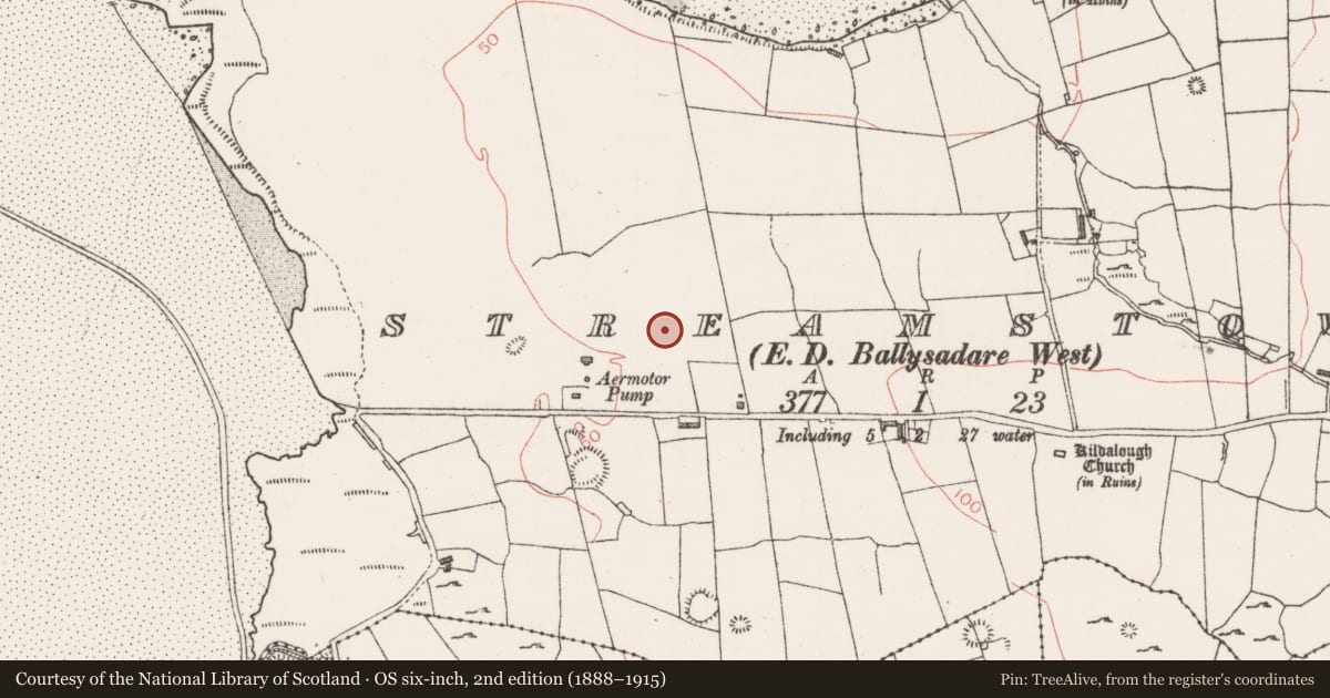 Ordnance Survey six-inch map, 2nd edition (1888–1915) covering the location of Field boundary, Streamstown, County Sligo, with a pin at the register's coordinates