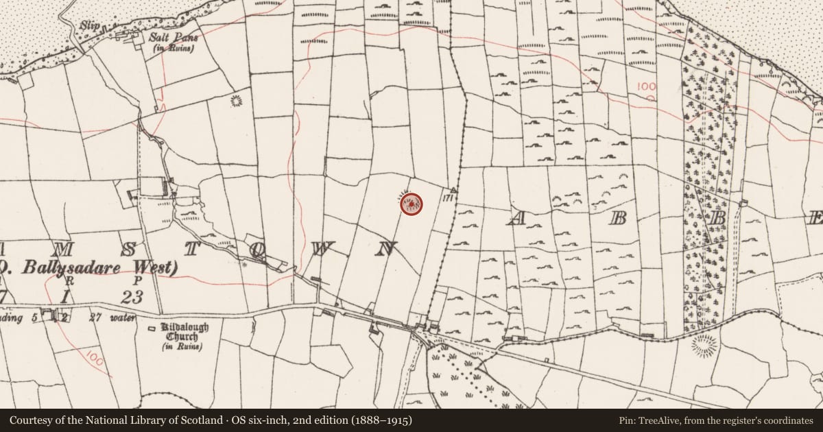 Ordnance Survey six-inch map, 2nd edition (1888–1915) covering the location of Enclosure, Streamstown, County Sligo, with a pin at the register's coordinates