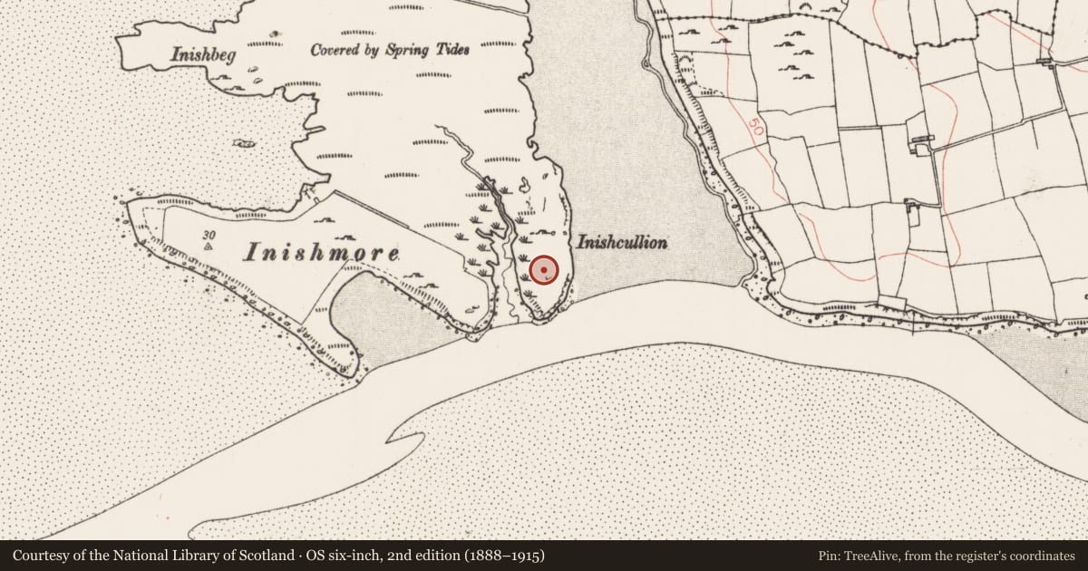 Ordnance Survey six-inch map, 2nd edition (1888–1915) covering the location of Enclosure, Breeoge, County Sligo, with a pin at the register's coordinates