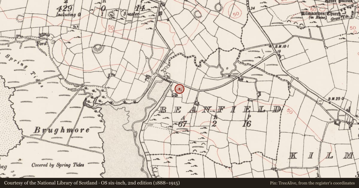 Ordnance Survey six-inch map, 2nd edition (1888–1915) covering the location of Ringfort - unclassified, Beanfield, County Sligo, with a pin at the register's coordinates