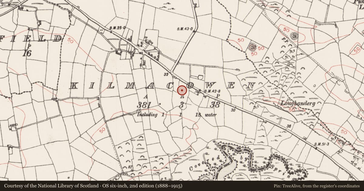 Ordnance Survey six-inch map, 2nd edition (1888–1915) covering the location of Ring-ditch, Kilmacowen, County Sligo, with a pin at the register's coordinates