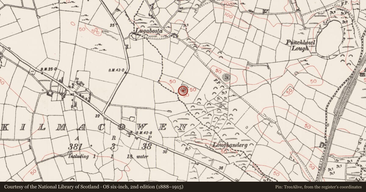 Ordnance Survey six-inch map, 2nd edition (1888–1915) covering the location of Ringfort - rath, Carrowkeel, County Sligo, with a pin at the register's coordinates