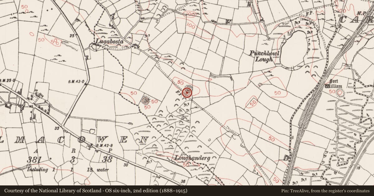 Ordnance Survey six-inch map, 2nd edition (1888–1915) covering the location of Ringfort - cashel, Carrowkeel, County Sligo, with a pin at the register's coordinates