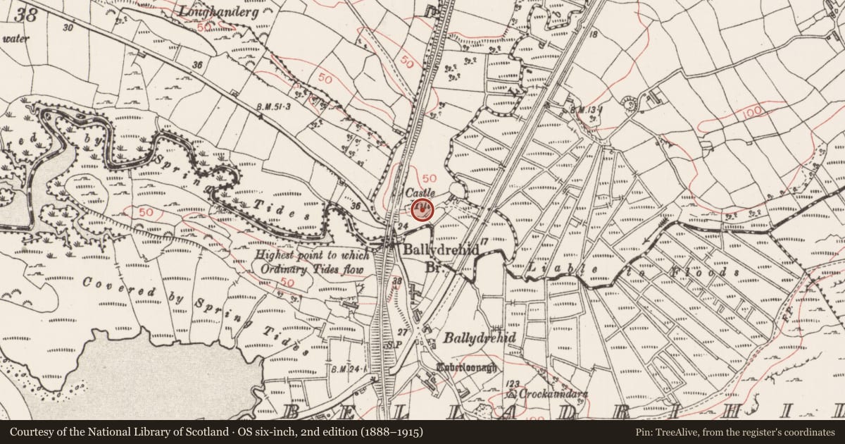Ordnance Survey six-inch map, 2nd edition (1888–1915) covering the location of Castle - unclassified, Carrowgobbadagh, County Sligo, with a pin at the register's coordinates