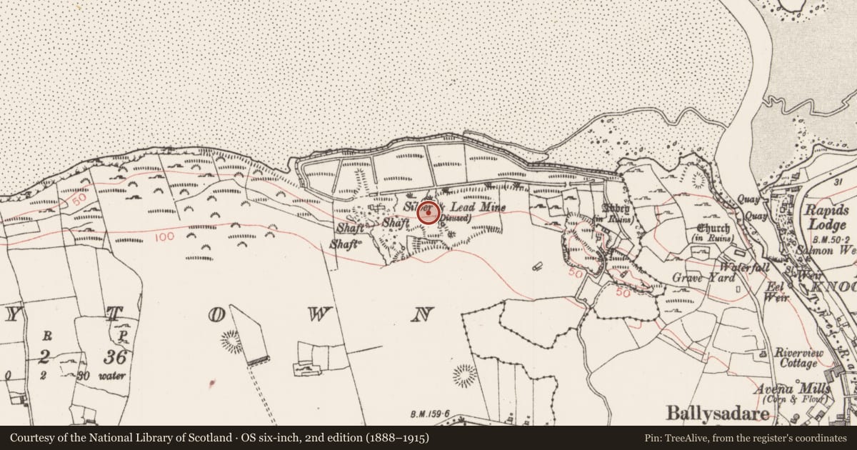 Ordnance Survey six-inch map, 2nd edition (1888–1915) covering the location of Mine, Abbeytown, County Sligo, with a pin at the register's coordinates
