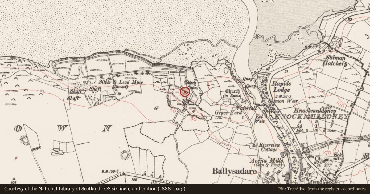 Ordnance Survey six-inch map, 2nd edition (1888–1915) covering the location of Religious house - Augustinian canons, Abbeytown, County Sligo, with a pin at the register's coordinates