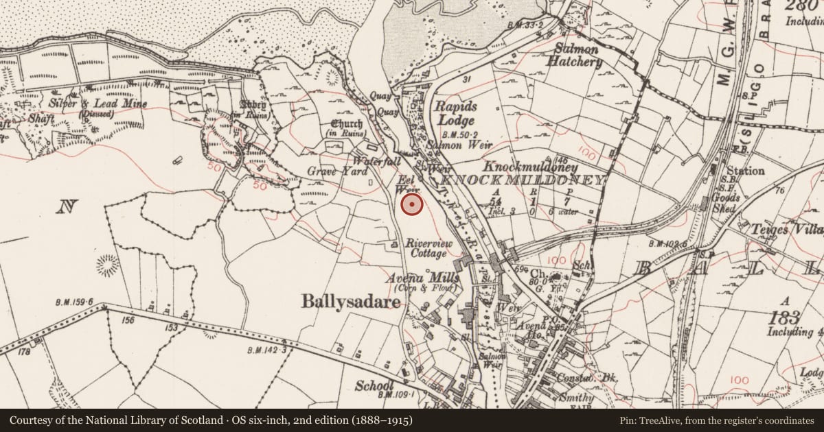 Ordnance Survey six-inch map, 2nd edition (1888–1915) covering the location of Enclosure, Kilboglashy, County Sligo, with a pin at the register's coordinates