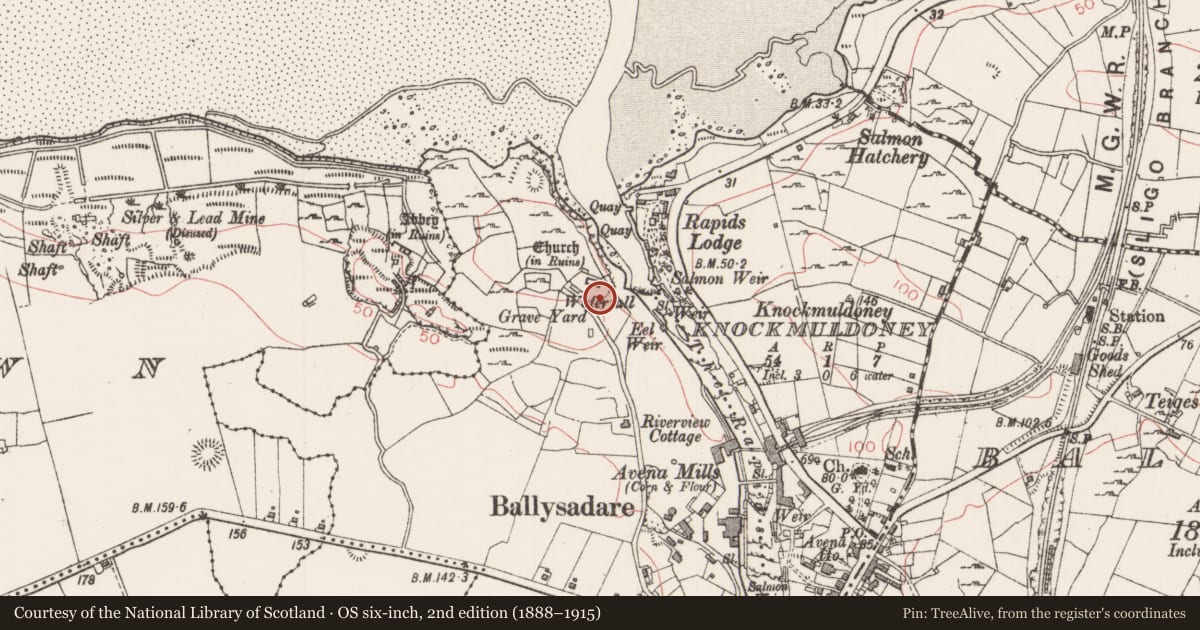 Ordnance Survey six-inch map, 2nd edition (1888–1915) covering the location of Graveslab, Kilboglashy, County Sligo, with a pin at the register's coordinates