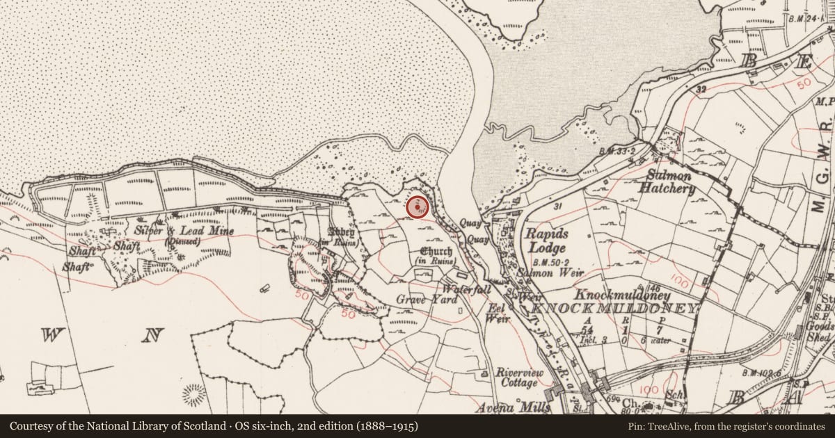 Ordnance Survey six-inch map, 2nd edition (1888–1915) covering the location of Enclosure, Kilboglashy, County Sligo, with a pin at the register's coordinates