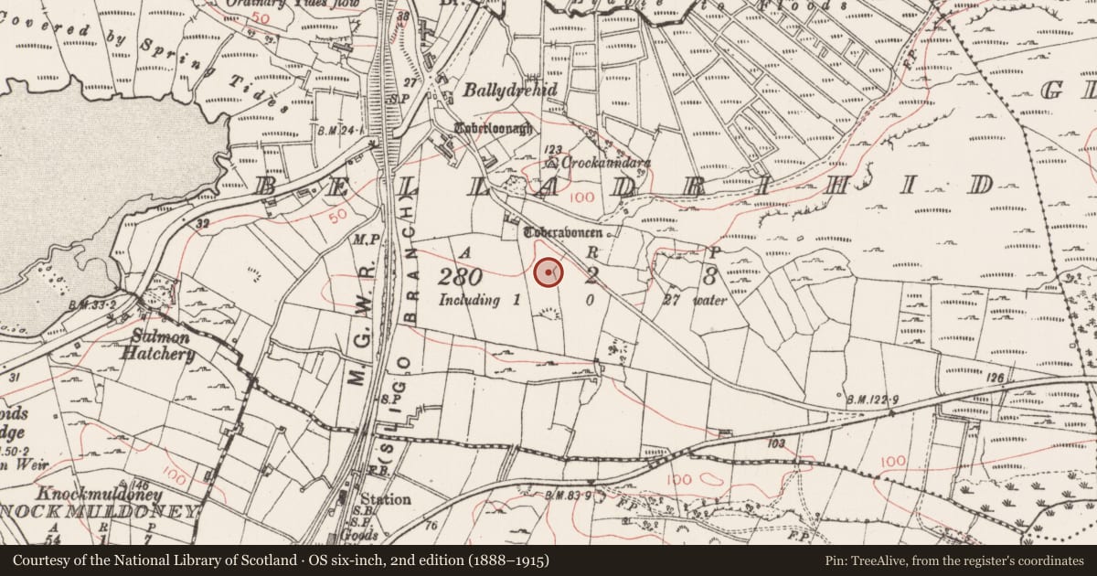 Ordnance Survey six-inch map, 2nd edition (1888–1915) covering the location of Earthwork, Belladrihid, County Sligo, with a pin at the register's coordinates