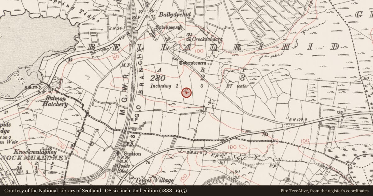 Ordnance Survey six-inch map, 2nd edition (1888–1915) covering the location of Enclosure, Belladrihid, County Sligo, with a pin at the register's coordinates