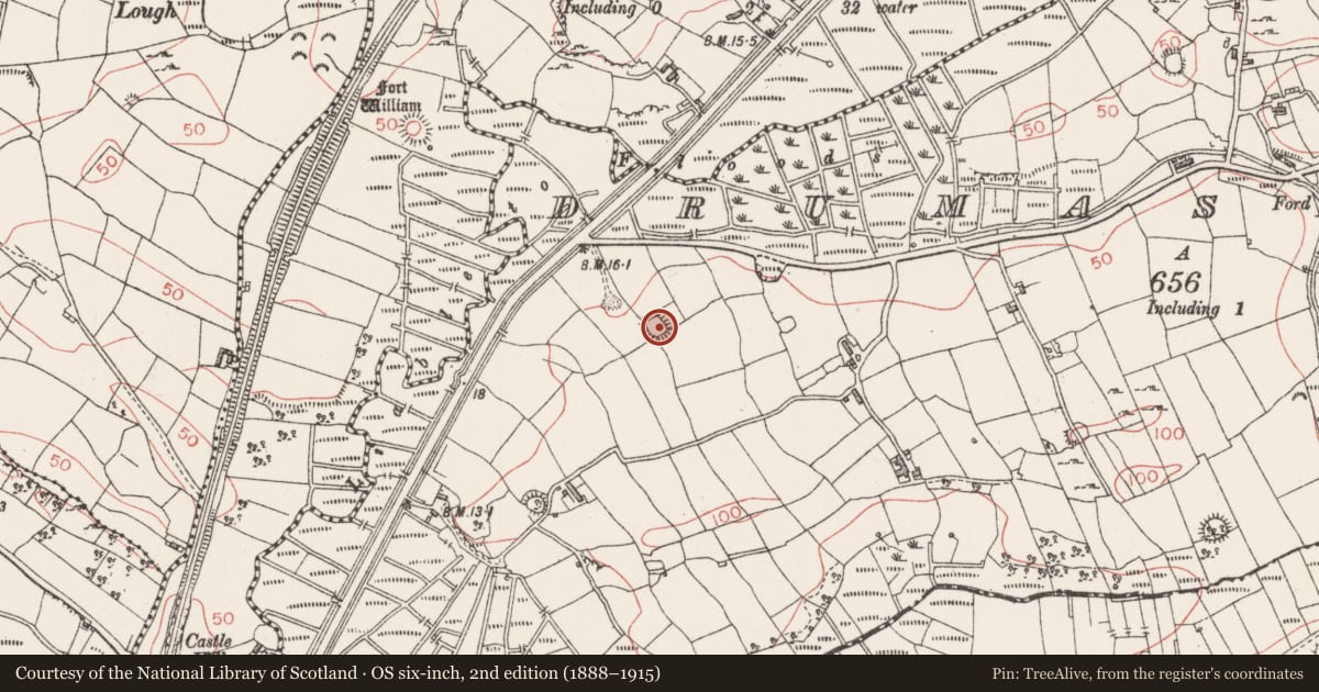 Ordnance Survey six-inch map, 2nd edition (1888–1915) covering the location of Enclosure, Drumaskibbole, County Sligo, with a pin at the register's coordinates