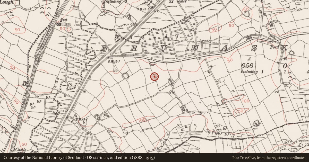 Ordnance Survey six-inch map, 2nd edition (1888–1915) covering the location of Enclosure, Drumaskibbole, County Sligo, with a pin at the register's coordinates