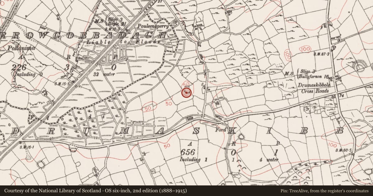 Ordnance Survey six-inch map, 2nd edition (1888–1915) covering the location of Ringfort - cashel, Drumaskibbole, County Sligo, with a pin at the register's coordinates