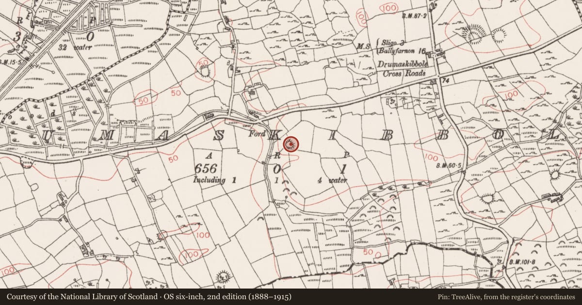 Ordnance Survey six-inch map, 2nd edition (1888–1915) covering the location of Enclosure, Drumaskibbole, County Sligo, with a pin at the register's coordinates