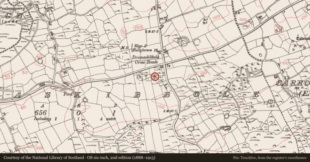 Ordnance Survey six-inch map, 2nd edition (1888–1915) covering the location of Field boundary, Drumaskibbole, County Sligo, with a pin at the register's coordinates