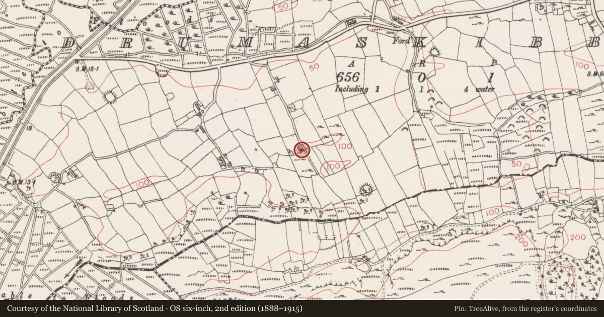 Ordnance Survey six-inch map, 2nd edition (1888–1915) covering the location of Ringfort - cashel, Drumaskibbole, County Sligo, with a pin at the register's coordinates