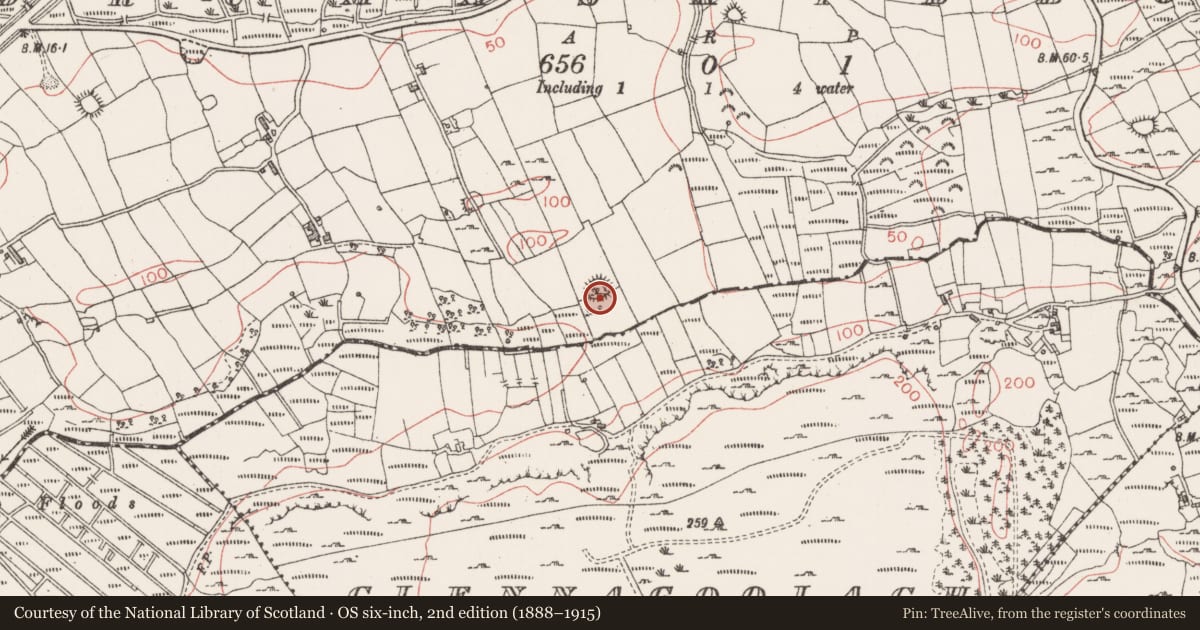 Ordnance Survey six-inch map, 2nd edition (1888–1915) covering the location of Ringfort - cashel, Drumaskibbole, County Sligo, with a pin at the register's coordinates