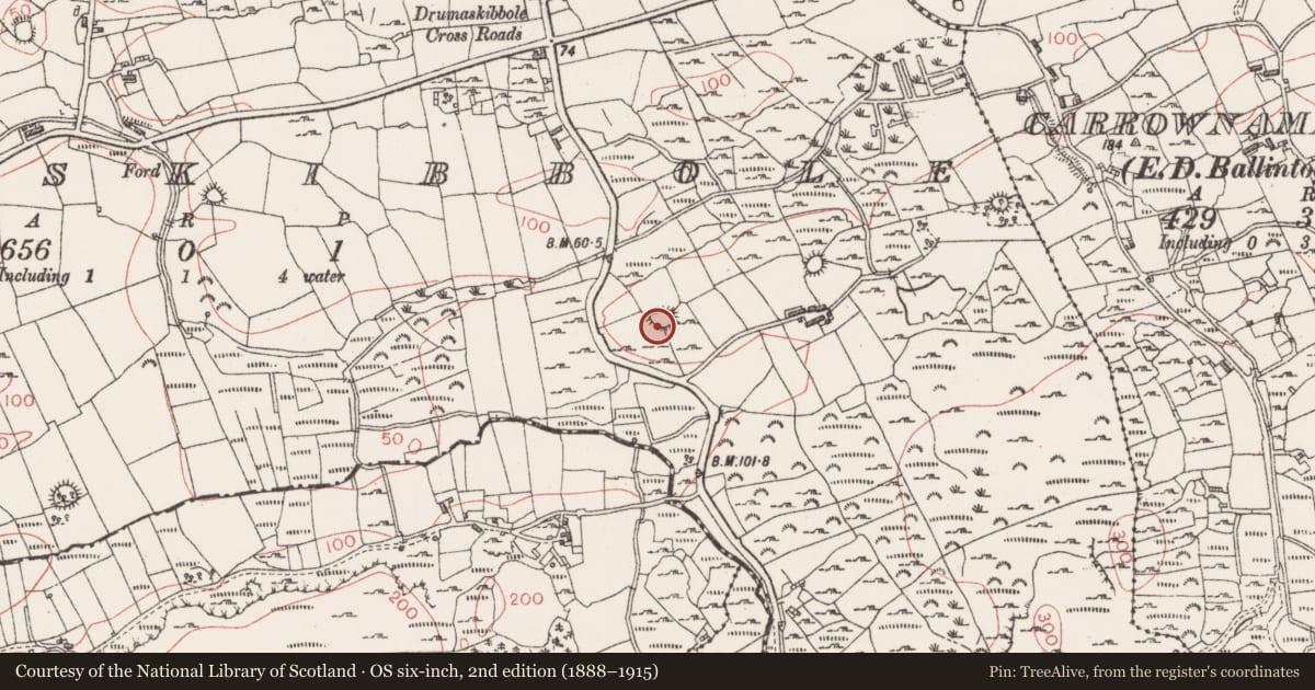 Ordnance Survey six-inch map, 2nd edition (1888–1915) covering the location of Ringfort - rath, Drumaskibbole, County Sligo, with a pin at the register's coordinates