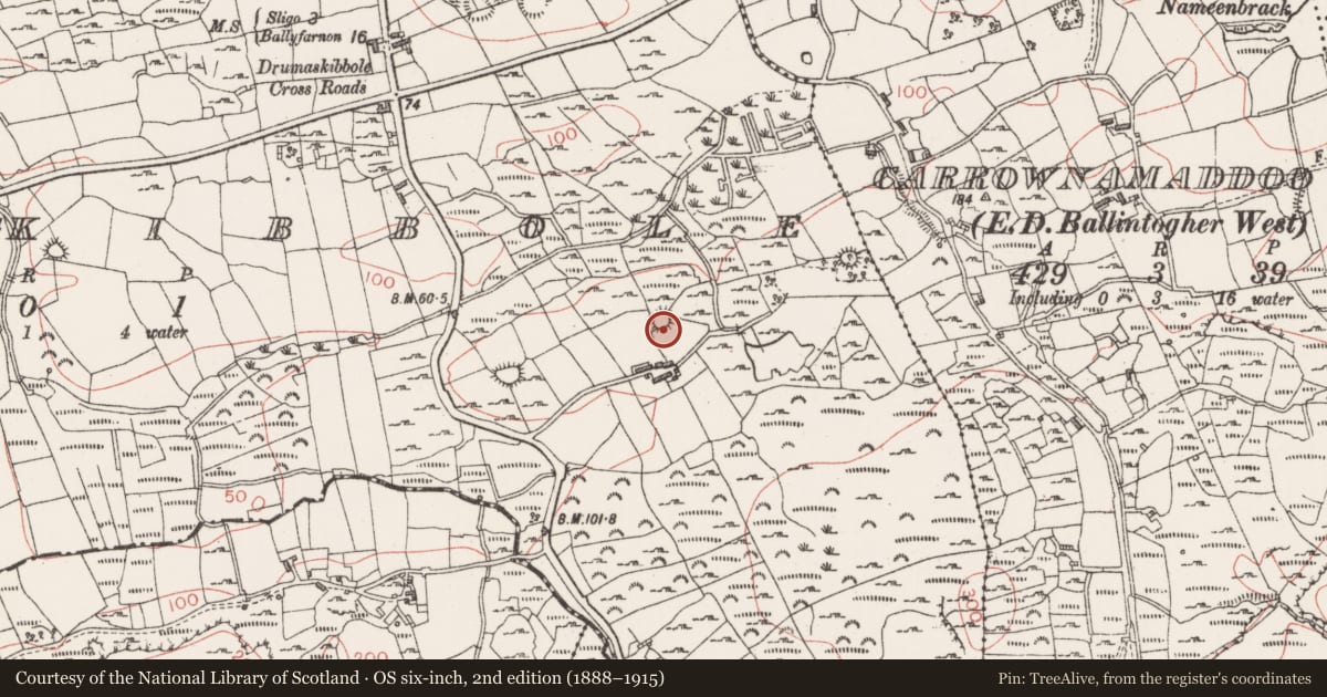 Ordnance Survey six-inch map, 2nd edition (1888–1915) covering the location of Ringfort - cashel, Drumaskibbole, County Sligo, with a pin at the register's coordinates