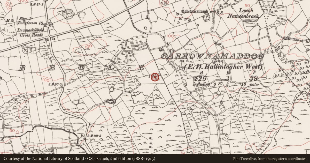 Ordnance Survey six-inch map, 2nd edition (1888–1915) covering the location of Ringfort - cashel, Drumaskibbole, County Sligo, with a pin at the register's coordinates