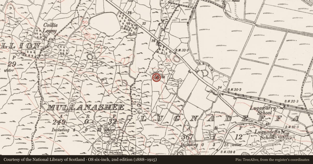 Ordnance Survey six-inch map, 2nd edition (1888–1915) covering the location of Ringfort - cashel, Lugnadeffa, County Sligo, with a pin at the register's coordinates