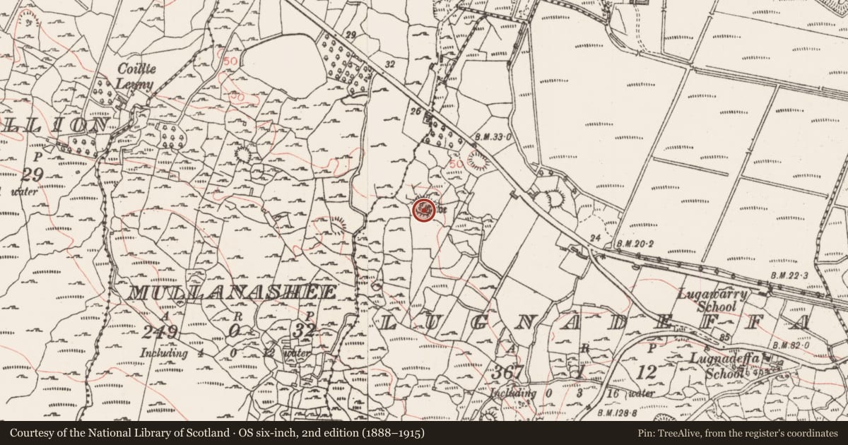 Ordnance Survey six-inch map, 2nd edition (1888–1915) covering the location of Souterrain, Lugnadeffa, County Sligo, with a pin at the register's coordinates