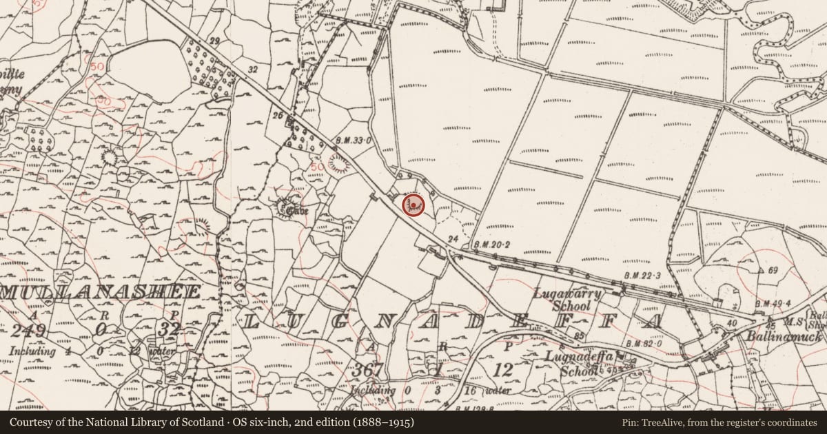 Ordnance Survey six-inch map, 2nd edition (1888–1915) covering the location of Ringfort - cashel, Lugnadeffa, County Sligo, with a pin at the register's coordinates