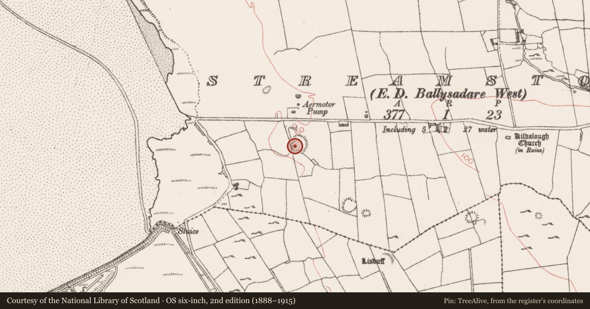 Ordnance Survey six-inch map, 2nd edition (1888–1915) covering the location of Ringfort - cashel, Streamstown, County Sligo, with a pin at the register's coordinates