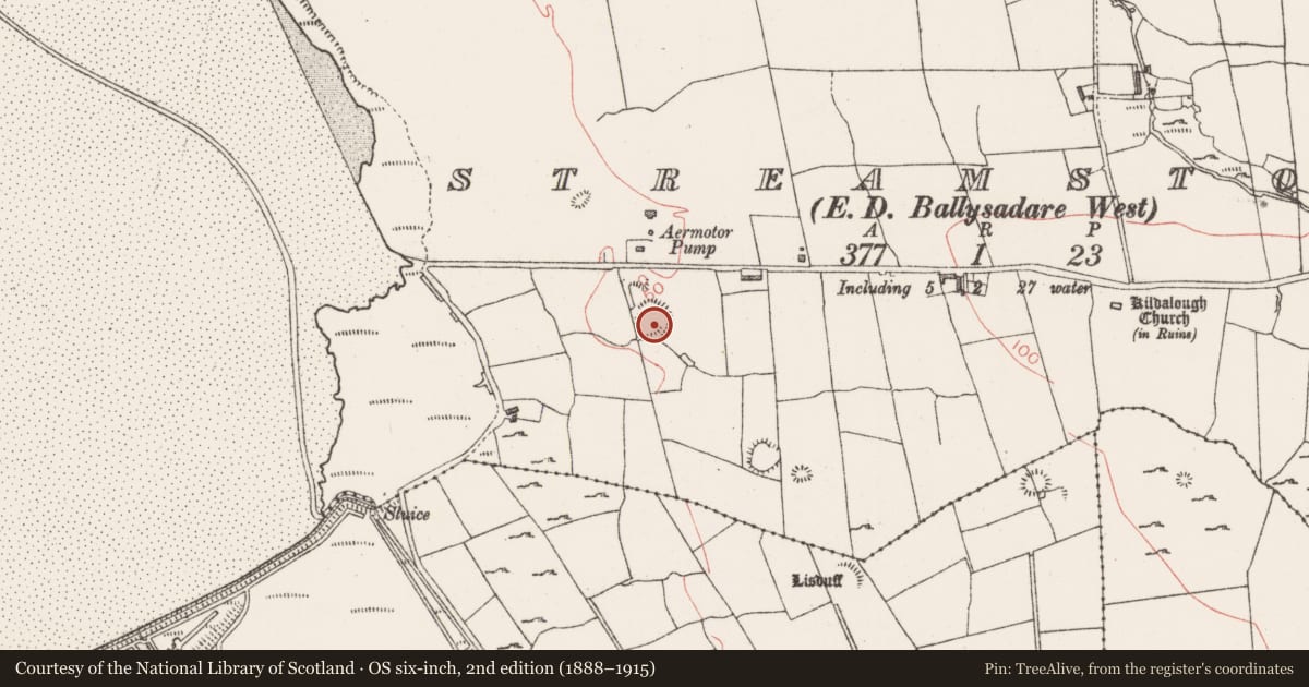 Ordnance Survey six-inch map, 2nd edition (1888–1915) covering the location of Midden, Streamstown, County Sligo, with a pin at the register's coordinates