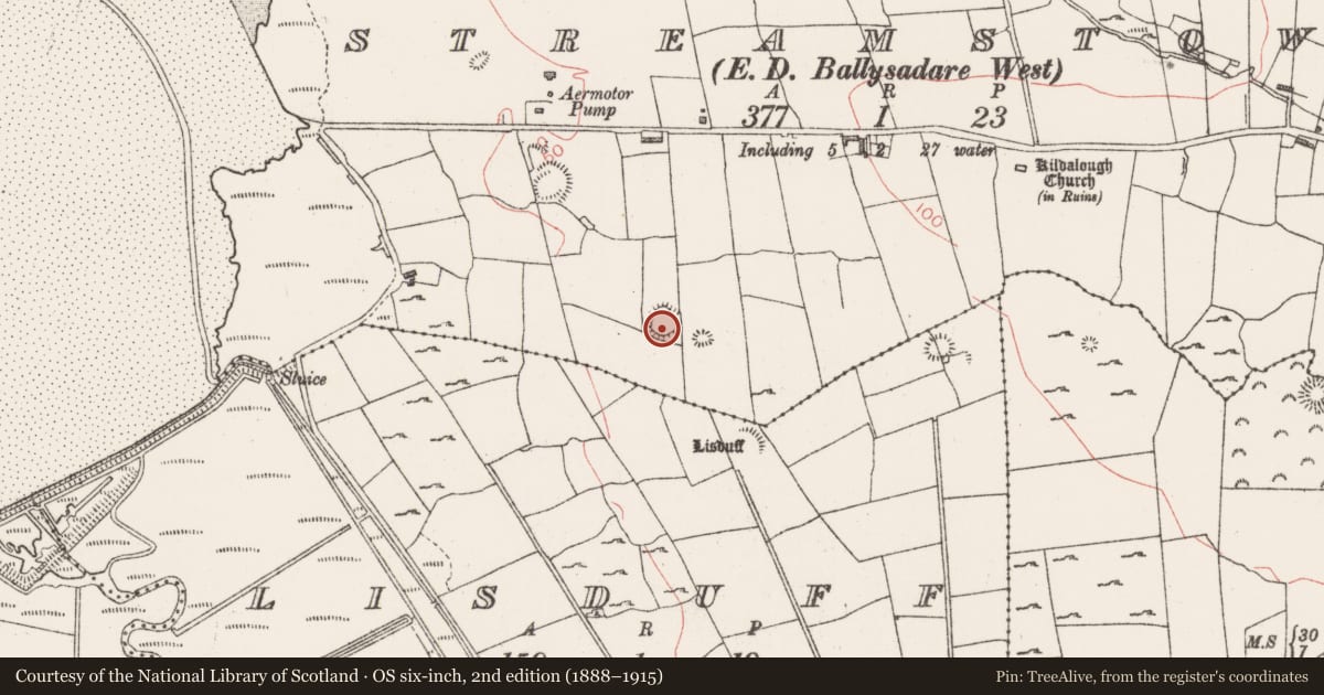 Ordnance Survey six-inch map, 2nd edition (1888–1915) covering the location of Ringfort - rath, Streamstown, County Sligo, with a pin at the register's coordinates