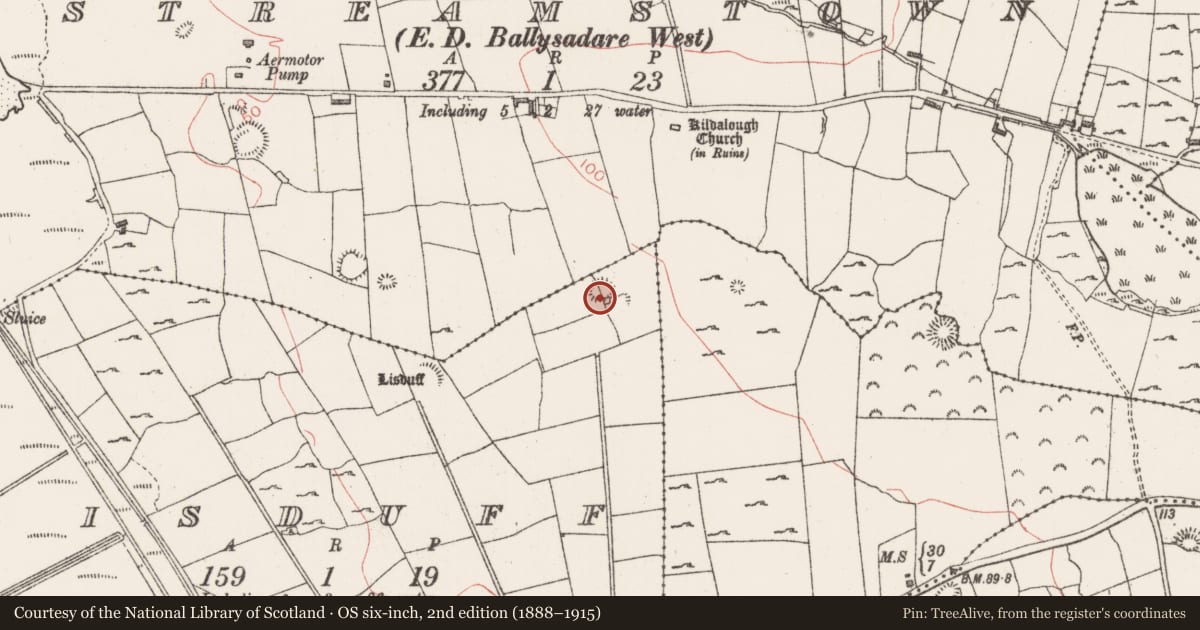Ordnance Survey six-inch map, 2nd edition (1888–1915) covering the location of Ringfort - rath, Lisduff, County Sligo, with a pin at the register's coordinates