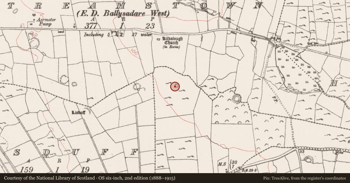 Ordnance Survey six-inch map, 2nd edition (1888–1915) covering the location of Enclosure, Stonehall Or Carrownageeragh, County Sligo, with a pin at the register's coordinates