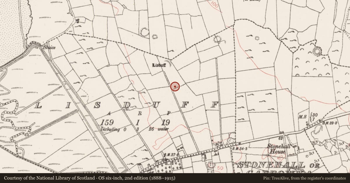 Ordnance Survey six-inch map, 2nd edition (1888–1915) covering the location of Ringfort - rath, Lisduff, County Sligo, with a pin at the register's coordinates