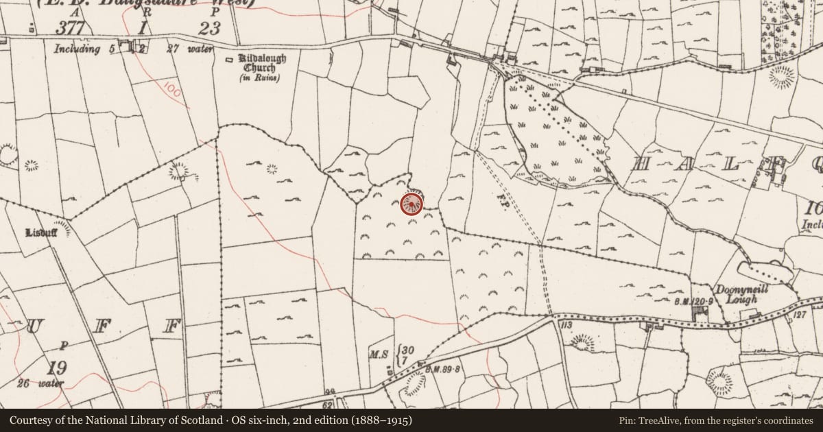 Ordnance Survey six-inch map, 2nd edition (1888–1915) covering the location of Ringfort - rath, Stonehall Or Carrownageeragh, County Sligo, with a pin at the register's coordinates