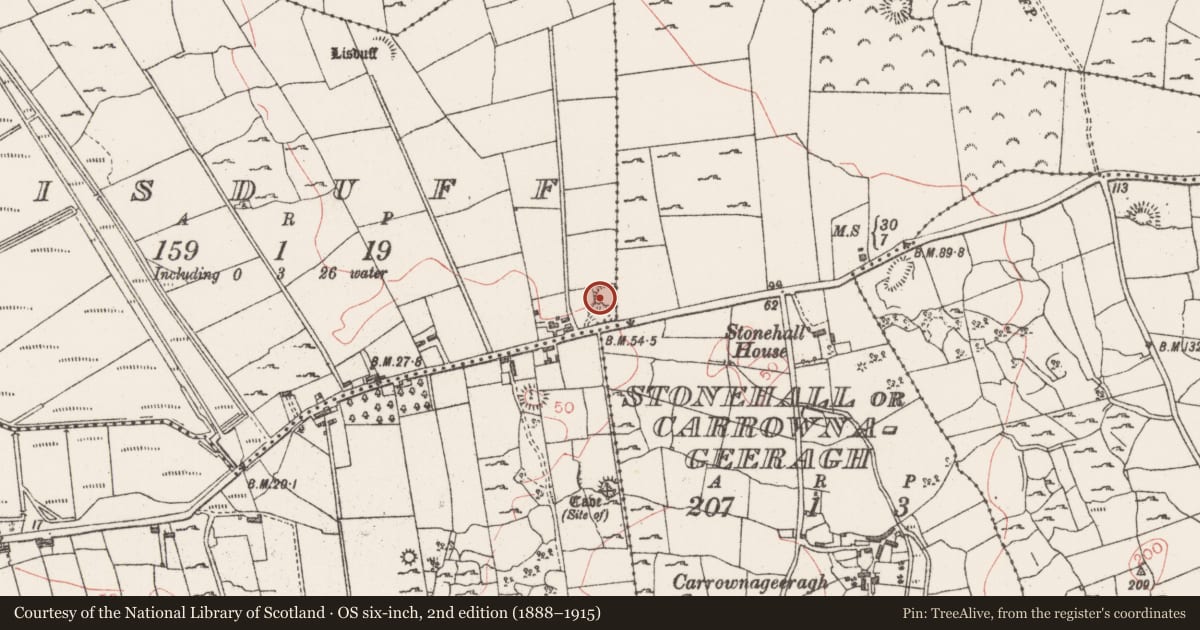 Ordnance Survey six-inch map, 2nd edition (1888–1915) covering the location of Ringfort - cashel, Lisduff, County Sligo, with a pin at the register's coordinates