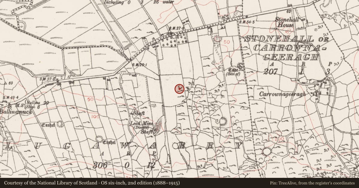 Ordnance Survey six-inch map, 2nd edition (1888–1915) covering the location of Enclosure, Lugawarry, County Sligo, with a pin at the register's coordinates