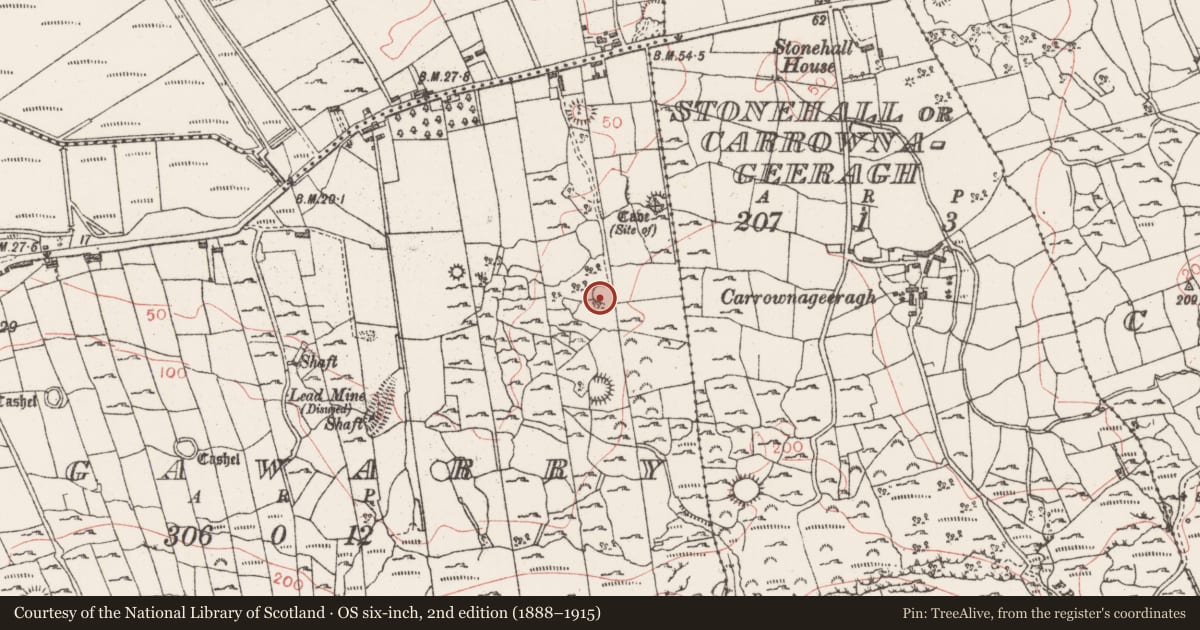 Ordnance Survey six-inch map, 2nd edition (1888–1915) covering the location of Ringfort - cashel, Lugawarry, County Sligo, with a pin at the register's coordinates
