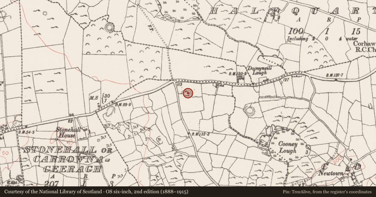 Ordnance Survey six-inch map, 2nd edition (1888–1915) covering the location of Ringfort - rath, Cooney, County Sligo, with a pin at the register's coordinates