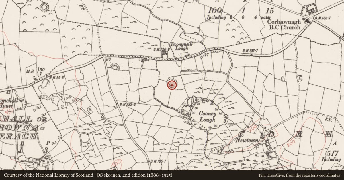 Ordnance Survey six-inch map, 2nd edition (1888–1915) covering the location of Ringfort - rath, Corhawnagh, County Sligo, with a pin at the register's coordinates