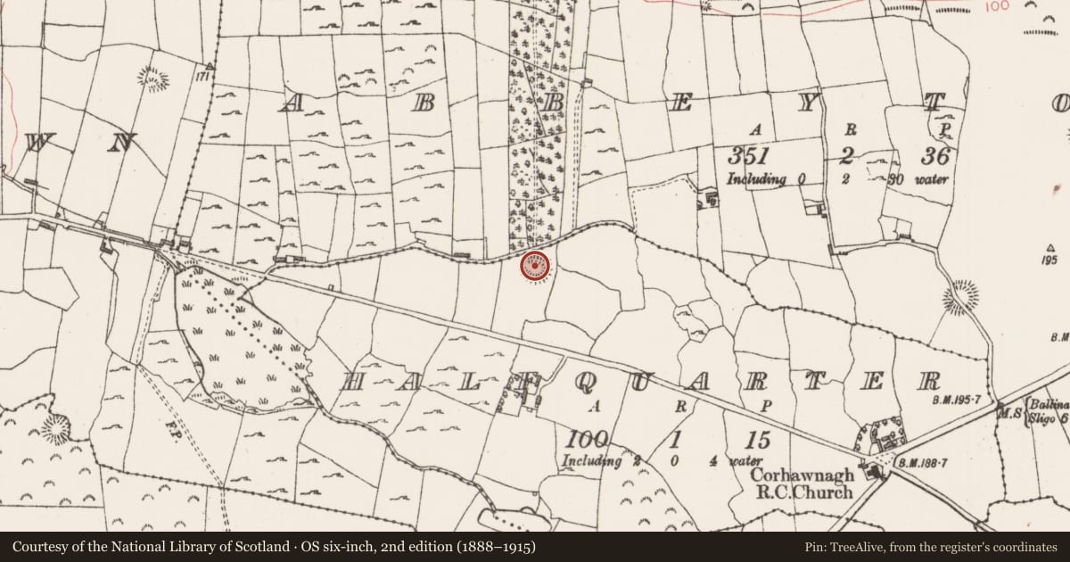 Ordnance Survey six-inch map, 2nd edition (1888–1915) covering the location of Ringfort - rath, Halfquarter, County Sligo, with a pin at the register's coordinates
