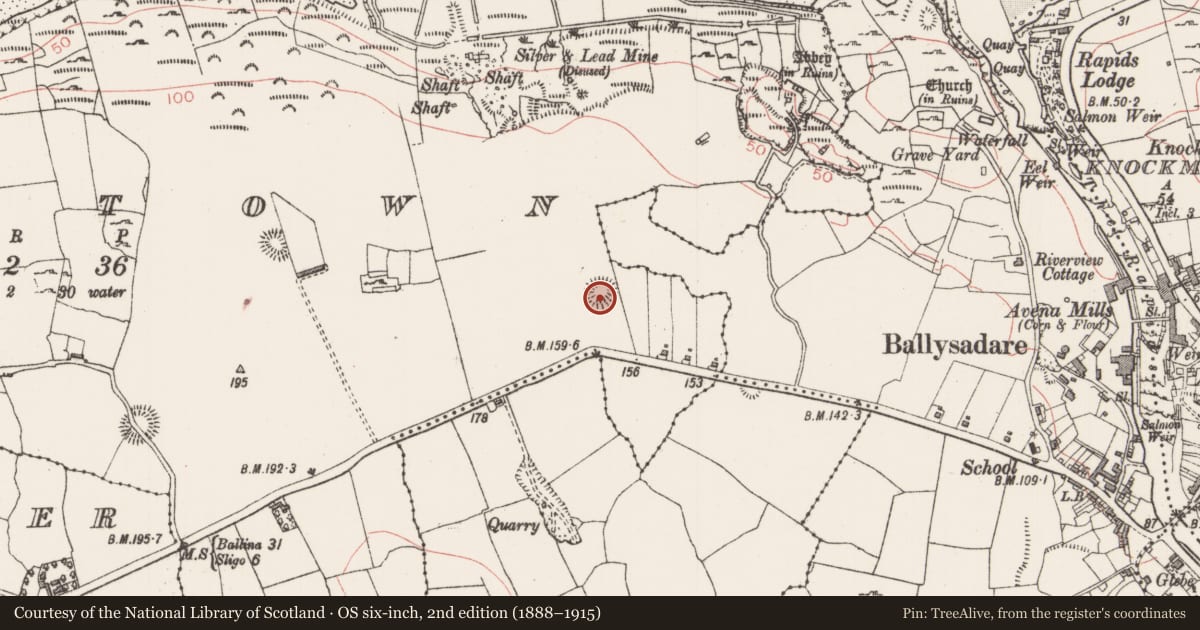 Ordnance Survey six-inch map, 2nd edition (1888–1915) covering the location of Ringfort - rath, Abbeytown, County Sligo, with a pin at the register's coordinates