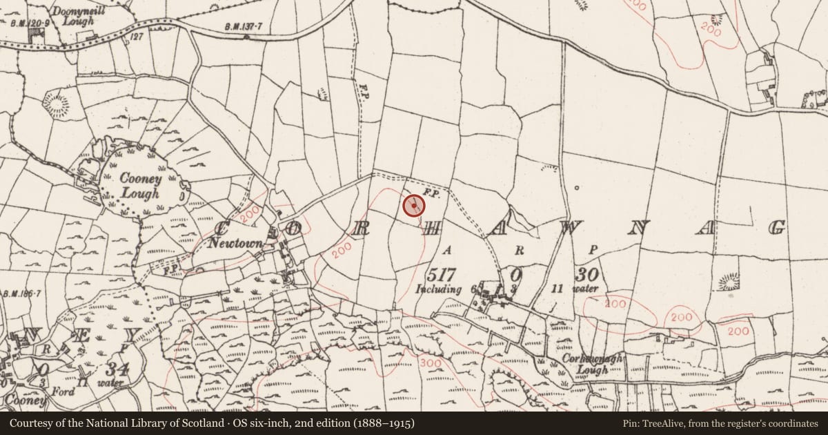 Ordnance Survey six-inch map, 2nd edition (1888–1915) covering the location of Enclosure, Corhawnagh, County Sligo, with a pin at the register's coordinates