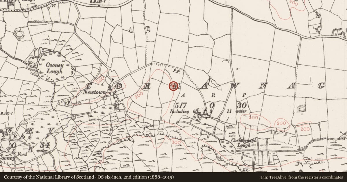 Ordnance Survey six-inch map, 2nd edition (1888–1915) covering the location of Enclosure, Corhawnagh, County Sligo, with a pin at the register's coordinates